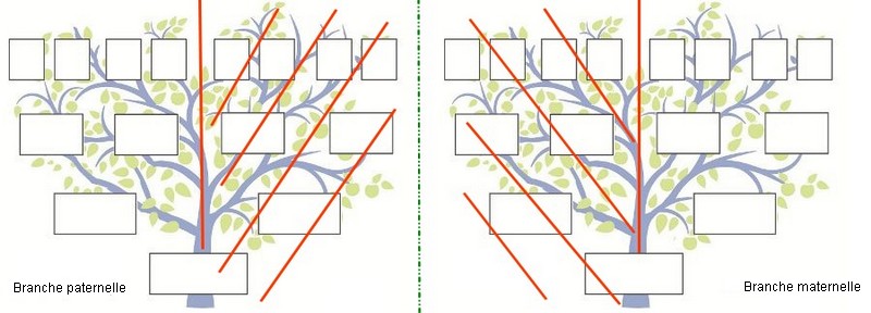 Arbres
